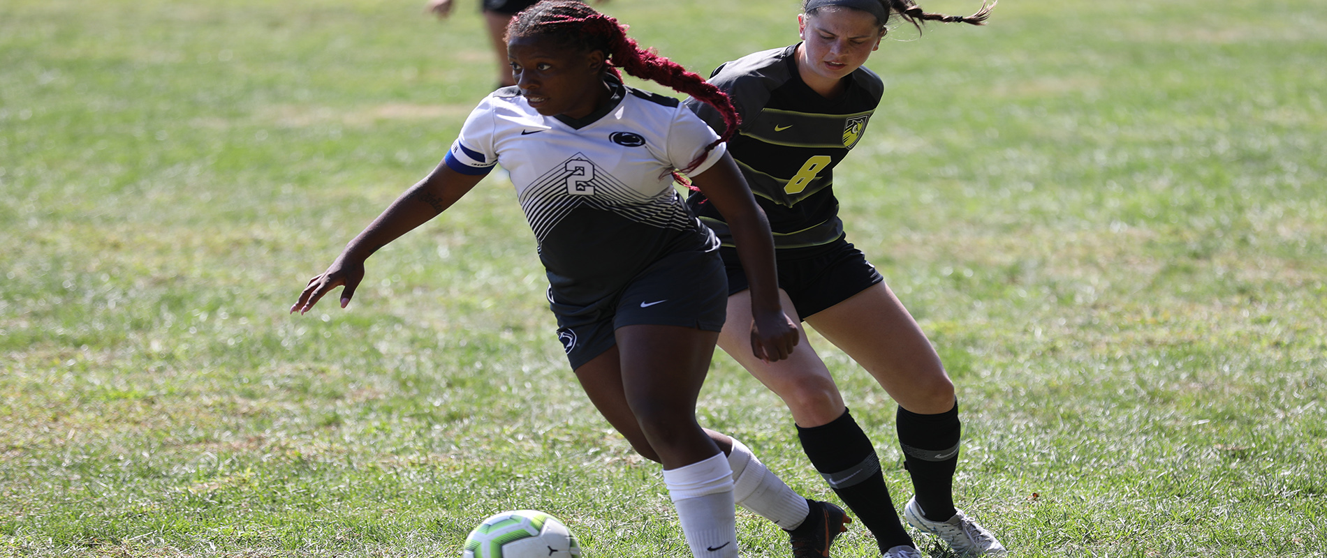 Penn State Brandywine's Brianna Banks.