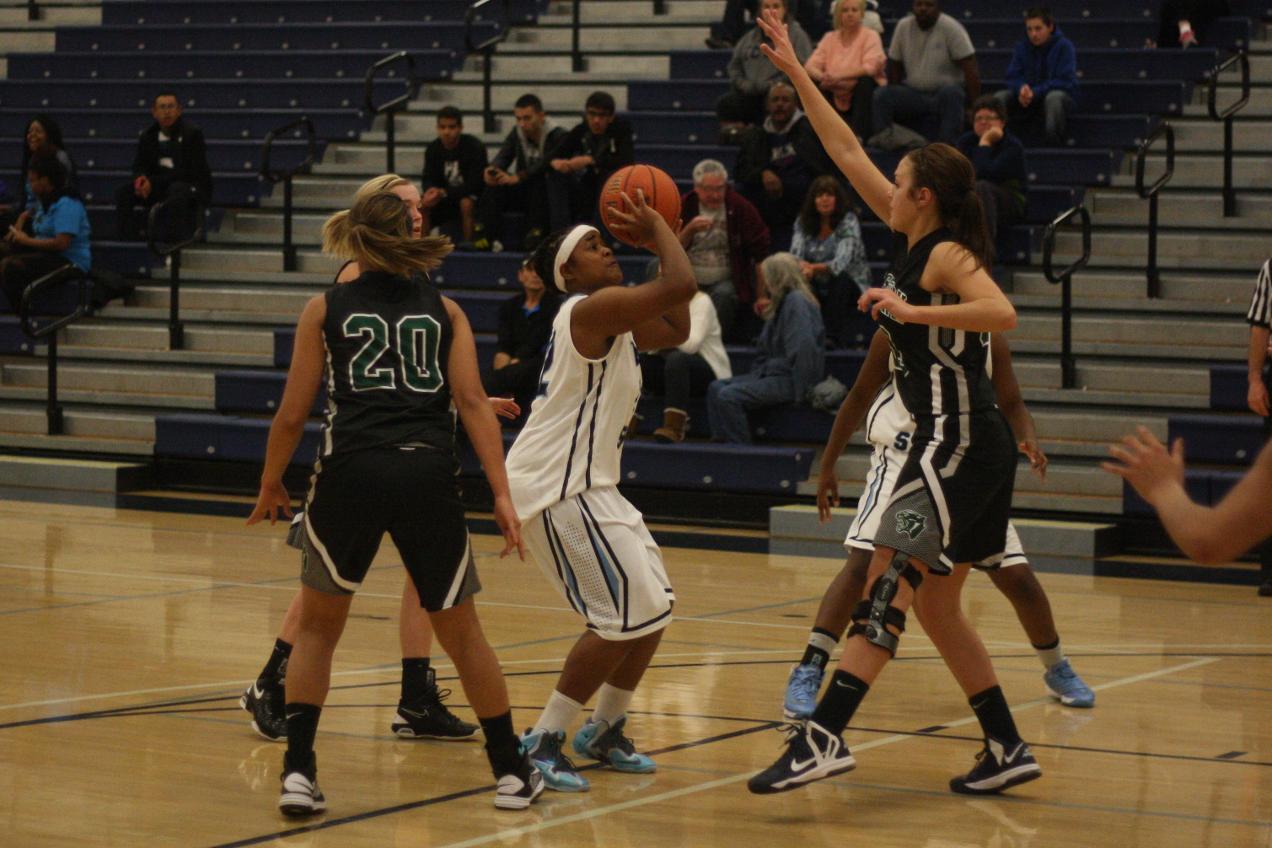 Lady Lions win against Brandywine