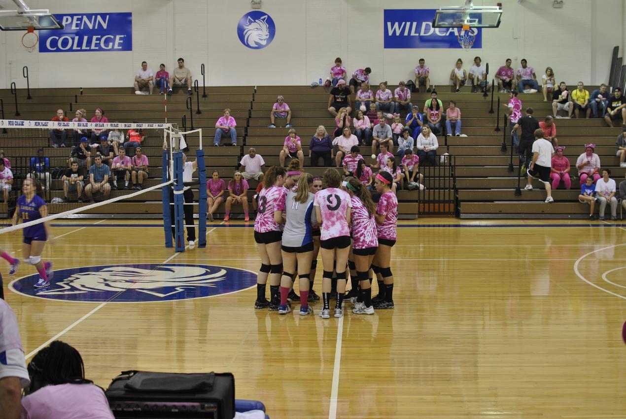 Women&rsquo;s Volleyball: Lady Wildcats Come Up Aces Against PSU Wilkes Barre