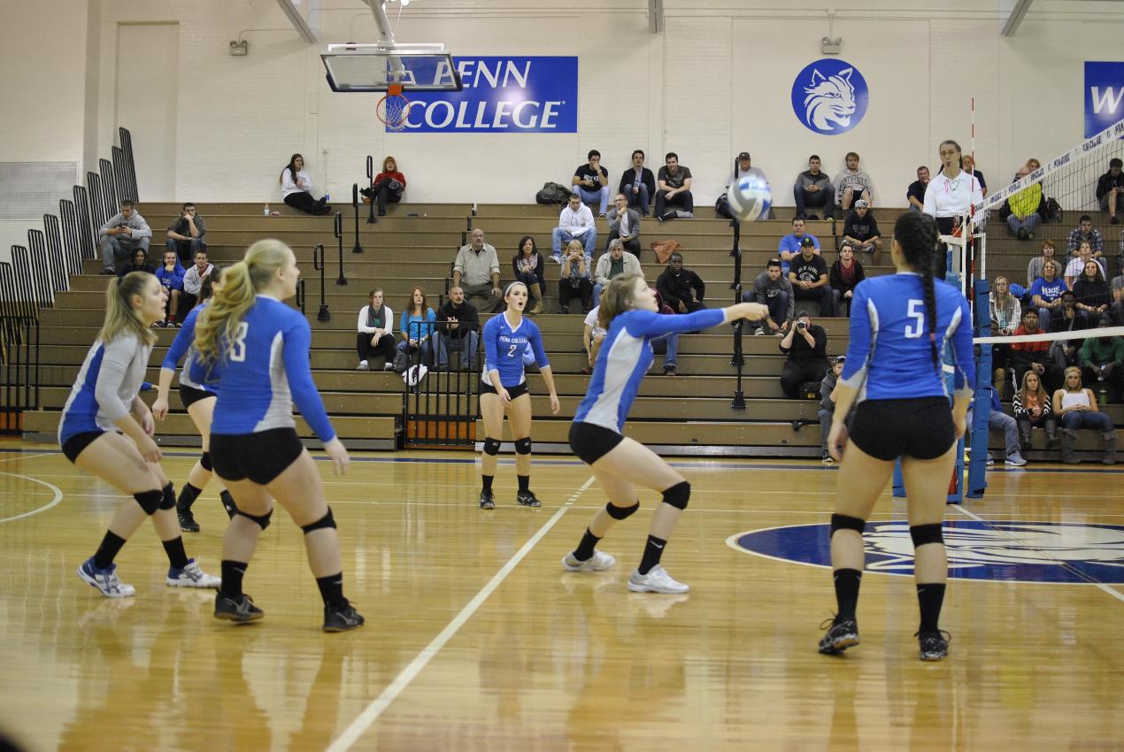 Women&rsquo;s Volleyball: Lady Wildcats Advance to PSUAC Semifinals with Win Against PSU Hazleton