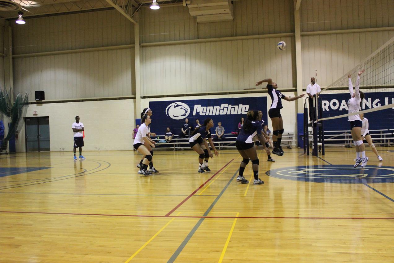 Carlow Slips Past Lion Volleyball