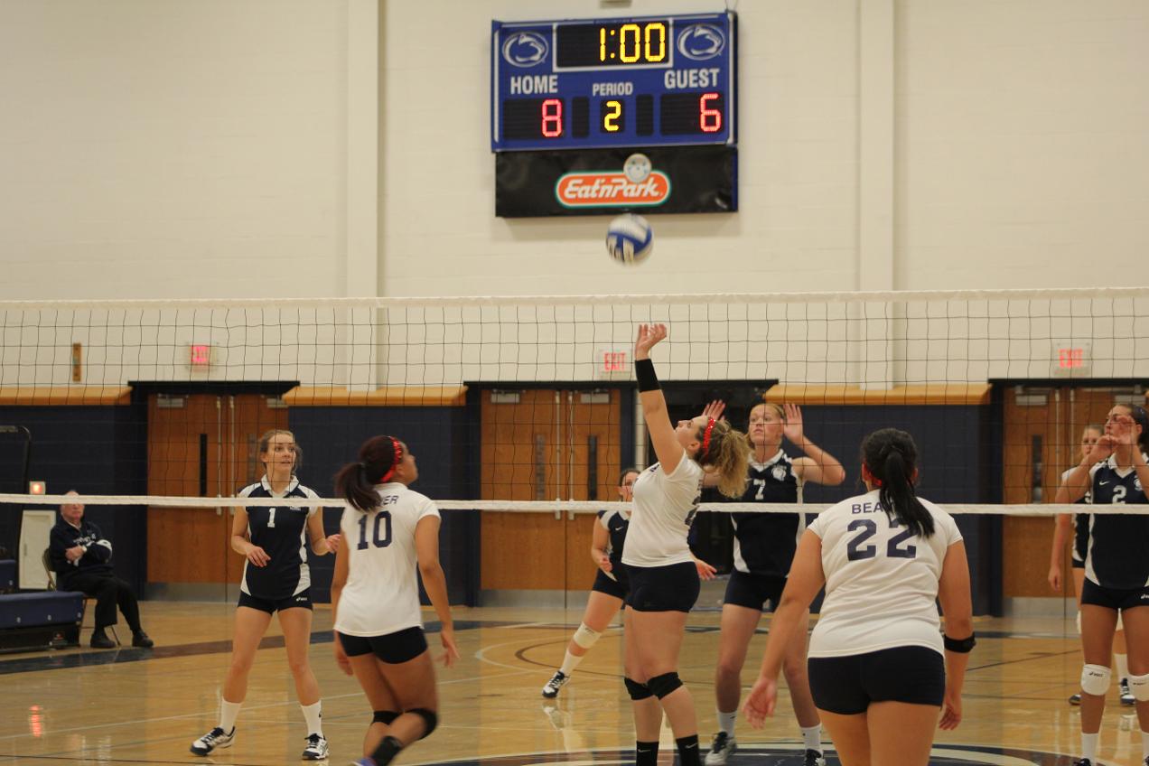 Beaver wins over PSU York