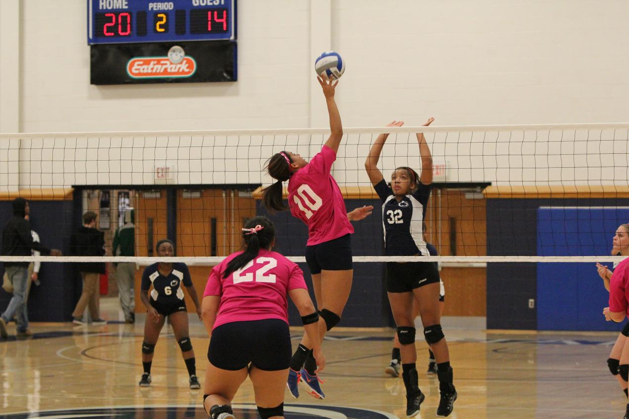 Volleyball wins against Penn State Greater Allegheny